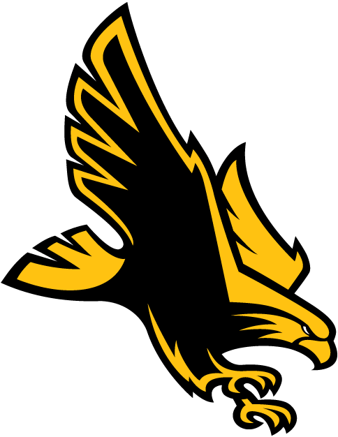 Southern Miss Golden Eagles logos iron-ons